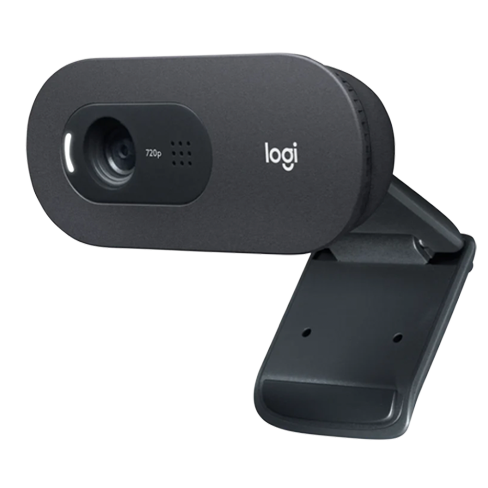 Logitech C505 internetinė kamera