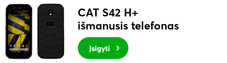 cat-s42-H+