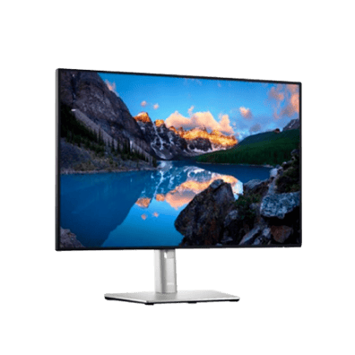 Dell U2421E 24" Monitor Silver (210-AXMB) | BITĖ